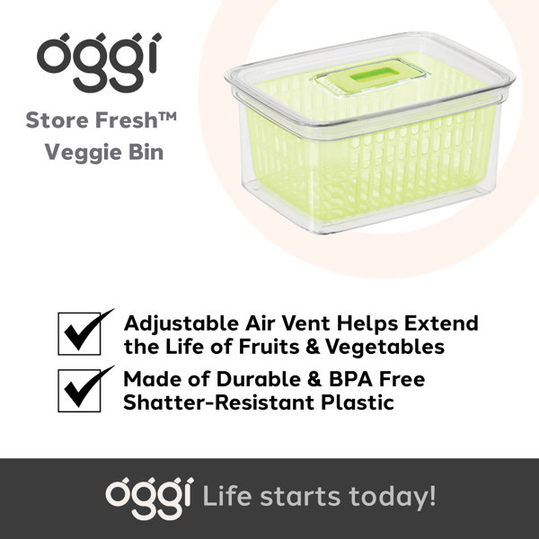 OGGI Neat Store Fresh Fruit & Veggie Bin Wayfair